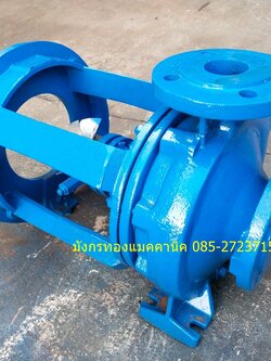 ปั๊มน้ำมันร้อน เข้า 2.5 ออก 2 นิ้ว ใบพัดด้านหลังสแตนเลส