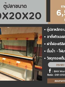 TP Service บริการรับติดตั้งตู้ปลา รับทำบ่ปลาคราฟ ตู้ปลาขนาด 60x20x20
