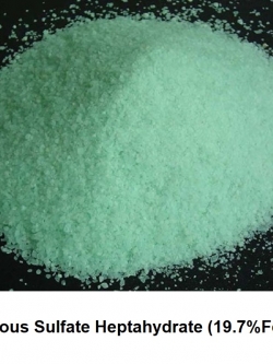 ผงจุลธาตุเหล็ก Ferous Sulfate Heptahydrate FeSO4.7H2O (19.7%Fe) บรรจุ 1 กิโลกรัม (R)