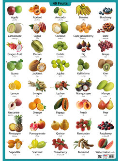 โปสเตอร์ความรู้ ชุดคำศัพท์ ผลไม้ 40 ชนิด No.592