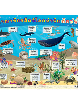 Aquatic Animals Educational Posters No.387