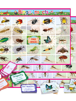 Bingo Game ET-565 Learning English-Thai Insect Names