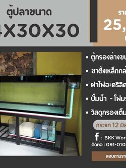TP Service บริการรับติดตั้งตู้ปลา รับทำบ่ปลาคราฟ ตู้ปลาขนาด 84x30x30
