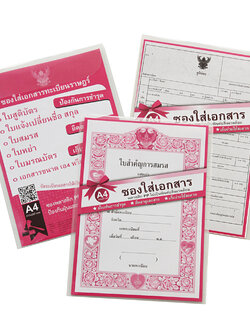 Plastic Envelope with Self-Closing Covers JL-145