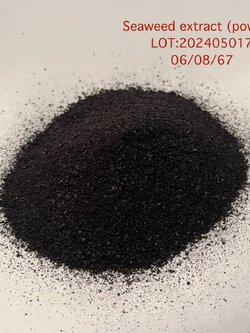 Seaweed Extract Powder ผงสาหร่ายสกัด (จีน) ละลายน้ำ 100% บรรจุ 1 กก.(R)