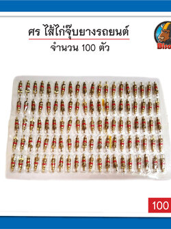 ศร ไส้ไก่จุ๊บยางรถยนต์ อุปกรณ์เปลี่ยนยางรถยนต์ ( 1 แผง 100 ตัว)