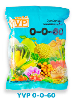 KCl Potassium Chloride (Muriate of Potash; MOP) ปุ๋ยเกล็ด วาย.วี.พี โพแทสเซียมคลอไรด์ 0-0-60 (Dead Sea Works อิสราเอล) บรรจุ 1 กิโลกรัม