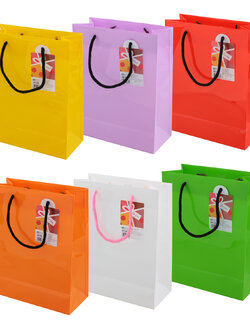 Shopping Bag B5 with rope handle BB-500
