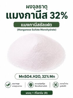 ผงจุลธาตุแมงกานีส 32% แมงกานีสซัลเฟต (Manganese Sulfate Monohydrate, MnSO4.H2O, 32% Mn) บรรจุ 1 กิโลกรัม (R)