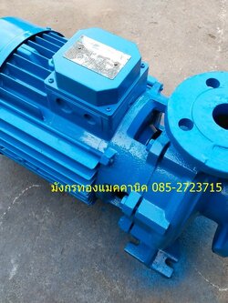 ปั๊มน้ำหอยโข่ง Pentax รุ่น CM-200B made in Italy ขนาด 7.5 แรง ใช้ไฟสามเฟส 380V ท่อน้ำเข้าออก 2.5x1.5 นิ้ว ส่งสูง 47 เมตร ได้ปริมาณน้ำ 650 ลิตรต่อนาที ใบพัดเหล็กหล่อ เพลาสแตนเลส