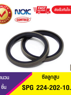SPG 224-202-10.8 ซีลลูกสูบ Piston seal (1ชิ้น)