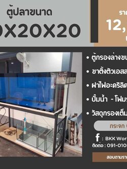 TP Service บริการรับติดตั้งตู้ปลา รับทำบ่ปลาคราฟ ตู้ปลาขนาด 60x20x20