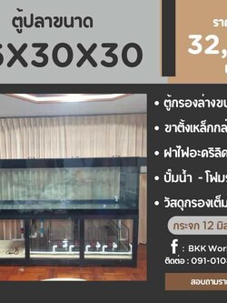 TP Service บริการรับติดตั้งตู้ปลา รับทำบ่ปลาคราฟ ตู้ปลาขนาด 96x30x30