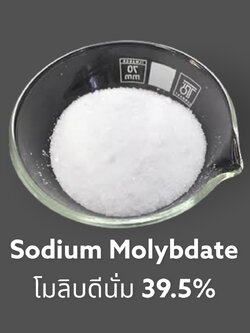 ผงจุลธาตุโมลิบดินั่ม Sodium Molybdate 99% Na2MoO4.2H2O (ให้ธาตุโมลิบดีนั่ม Mo 39.5%) บรรจุ 100 กรัม