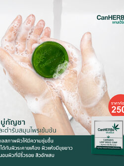 สบู่กัญชา Canherbs 90 กรัม
