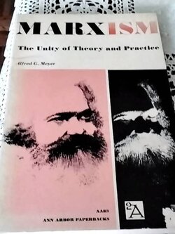 Marxism the Unity of Theory and Practice