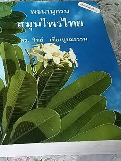 พจนานุกรม สมุนไพรไทย