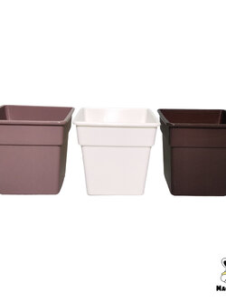 Plant Pot Cactus กระถางต้นกระบองเพชร ดระถางเหลี่ยมจิ๋ว ที่ปลูกแคคตัส ขนาด 3.25 นิ้ว สีขาว ดำ น้ำตาล