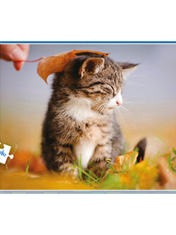Jigsaw Puzzle ตัวต่อจิ๊กซอว์ 500 ชิ้น T047 Animals สัตว์ Cat รูปแมว MagicLand6