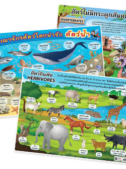 โปสเตอร์ความรู้ ชุดอาณาจักรสัตว์ ขนาดA4