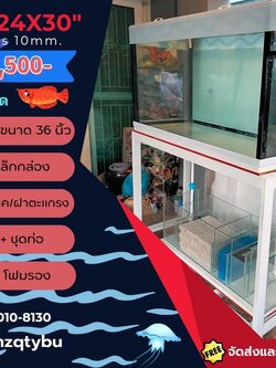 TP Service บริการรับติดตั้งตู้ปลา รับทำบ่ปลาคราฟ ตู้ปลาขนาด 60x24x30 Glass 10 mm.