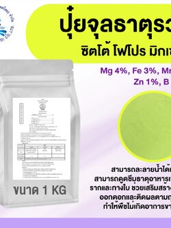 ผงจุลธาตุคีเลตรวม ธาตุอาหารรอง+เสริม ซิตโต้ โฟโปรมิกเซอร์ MIX EDTA (ผงสีเขียว) แมกนีเซียม เหล็ก แมงกานีส สังกะสี โบรอน บำรุงต้น ใบ ผล เสริมสร้างการเจริญเติบโต บรรจุ 1 กิโลกรัม