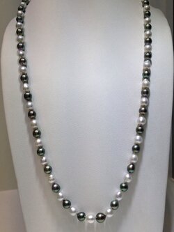 ไข่มุก south sea ขนาด 9-10.9มิล กลม สีขาวสลับสีดำ