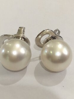 ต่างหูไข่มุก south sea 11 มิล สีขาว ก้านเงินแท้