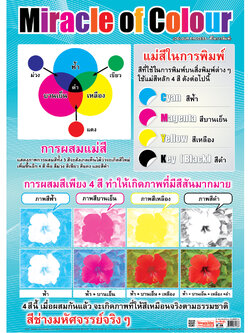 โปสเตอร์ความรู้ แม่สีในการพิมพ์