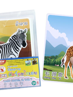 Animals in Thai-English-Mandarin Flashcards "What Animal is this?" ET-328