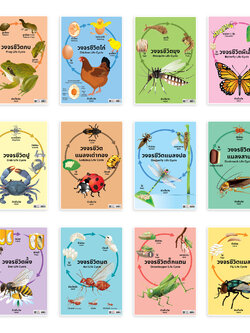 Animals Life Cycle Educational Posters A4 size