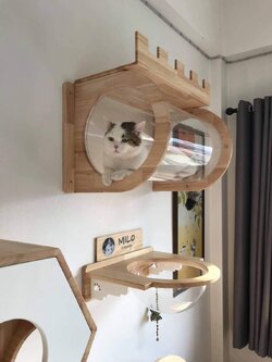 ป้ายไม้งานสกรีนบ้านน้องแมว