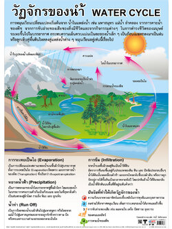 โปสเตอร์ความรู้ วัฏจักรของน้ำ No.188
