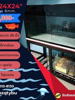 TP Service บริการรับติดตั้งตู้ปลา รับทำบ่ปลาคราฟ ตู้ปลาขนาด 60x24x24 Glass 8 mm.