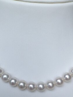 สร้อยคอไข่มุกอโกย่า ญี่ปุ่น 8.0-8.5 มิล กลม สีขาว, AAA