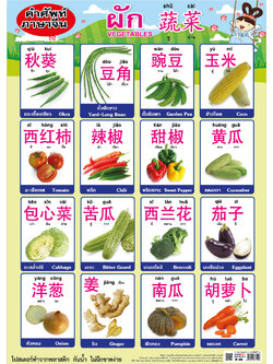 โปสเตอร์ความรู้ คำศัพท์ภาษาจีน ผัก No.319