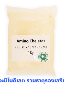 Amino Acid Chelates ผงจุลธาตุคีเลต รวมธาตุอาหาร รอง+เสริม อะมิโนคีเลต (Cu+Fe+Zn+Mn+B+Mo) บำรุงต้น เร่งโต เร่งเขียว ใช้ได้กับพืชทุกชนิด บรรจุ 1 กิโลกรัม (R)