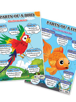 โปสเตอร์ความรู้ ส่วนประกอบของสัตว์ ขนาด A4