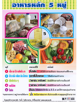 โปสเตอร์ความรู้ อาหารหลัก 5 หมู่
