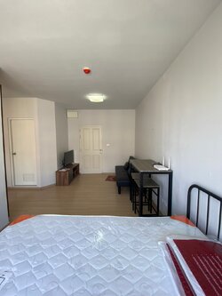 พลัมคอนโด สามัคคี - PLUM CONDO SAMAKKHI