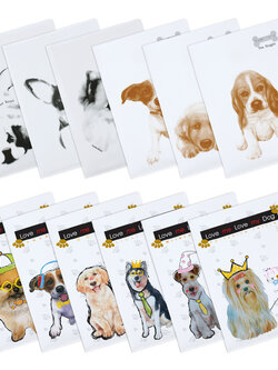 แฟ้มซอง A4 พิมพ์ลายด็อกกี้