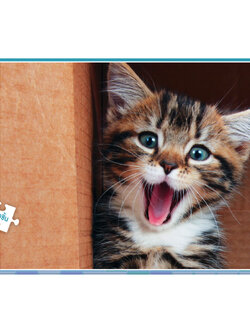 Jigsaw Puzzle ตัวต่อจิ๊กซอว์ 500 ชิ้น T070 Animals สัตว์ Cat รูปแมว MagicLand6