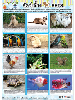 Pets Educational Posters No.456