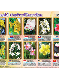 โปสเตอร์ความรู้ ดอกไม้ประจำชาติในอาเซียน No.383