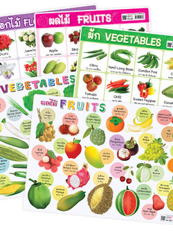 โปสเตอร์ความรู้ คำศัพท์ ไทย-อังกฤษ ชุดพืช ขนาดA4