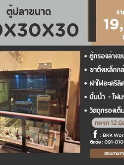 TP Service บริการรับติดตั้งตู้ปลา รับทำบ่ปลาคราฟ ตู้ปลาขนาด 60x30x30