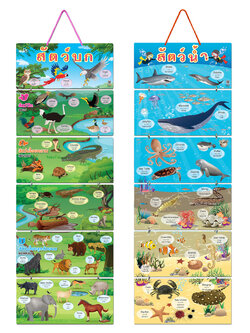 Hanging Display Flashcards Types of Animals