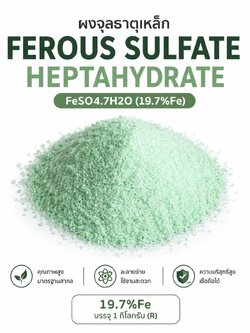 ผงจุลธาตุเหล็ก Ferous Sulfate Heptahydrate FeSO4.7H2O (19.7%Fe) บรรจุ 1 กิโลกรัม (R)