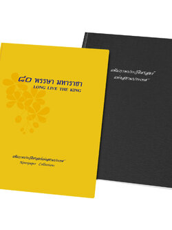 แฟ้มเก็บรูป 10 ช่อง เก็บหนังสือพิมพ์ ขนาดแฟ้ม 42x57.5 ซม.