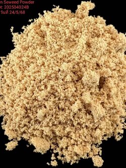 Brown(Gold) Seaweed Extract Powder ผงสาหร่ายสกัด สีน้ำตาลทอง (จีน) ละลายน้ำ 100% บรรจุ 1 กก. (R)